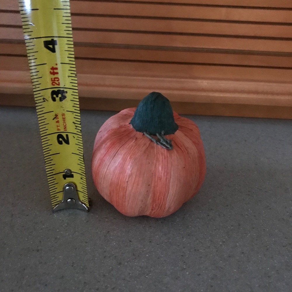Thanks Giving Decor - Picture 8 of 11